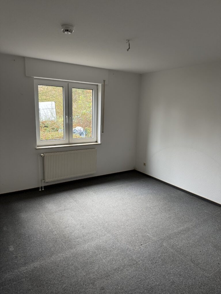 Leeres Zimmer mit grauem Teppich, weißen Wänden, einem Fenster mit einem Heizkörper darunter und einer Leuchte an der Decke. Durch das Fenster fällt natürliches Licht.